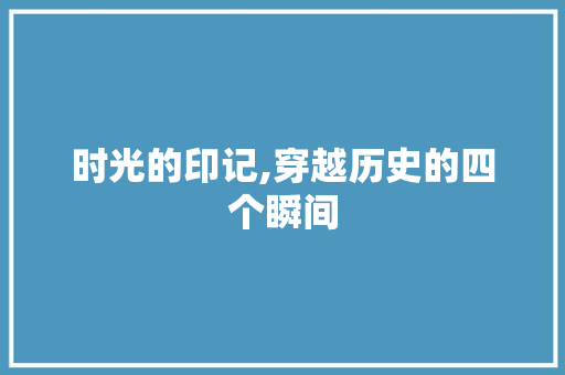 时光的印记,穿越历史的四个瞬间