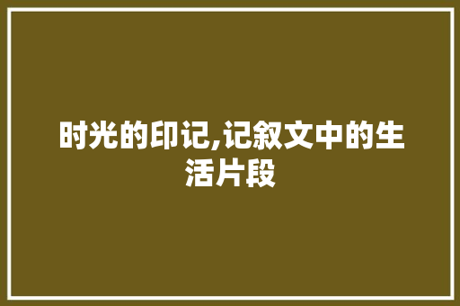 时光的印记,记叙文中的生活片段