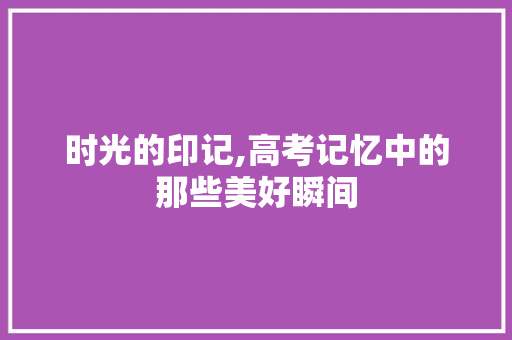 时光的印记,高考记忆中的那些美好瞬间