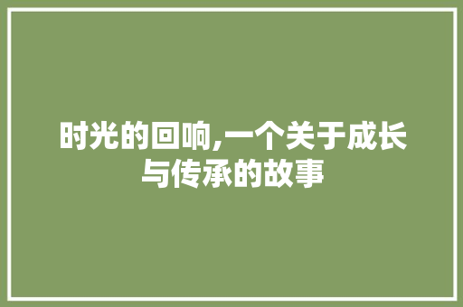 时光的回响,一个关于成长与传承的故事