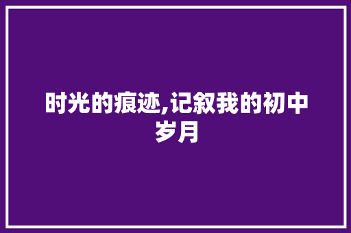 时光的痕迹,记叙我的初中岁月