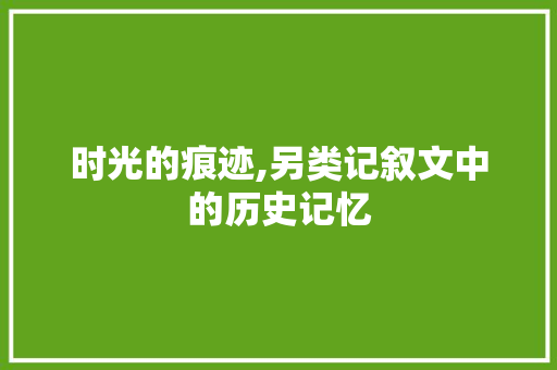 时光的痕迹,另类记叙文中的历史记忆