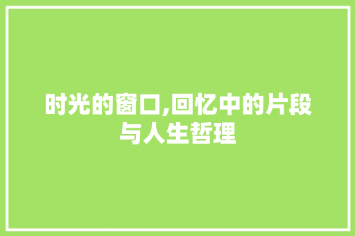 时光的窗口,回忆中的片段与人生哲理