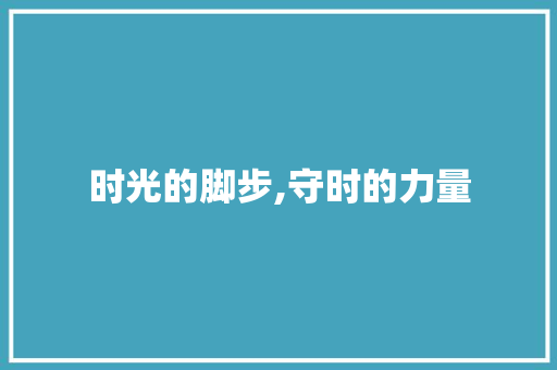 时光的脚步,守时的力量 申请书范文