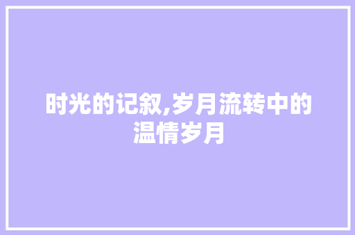 时光的记叙,岁月流转中的温情岁月