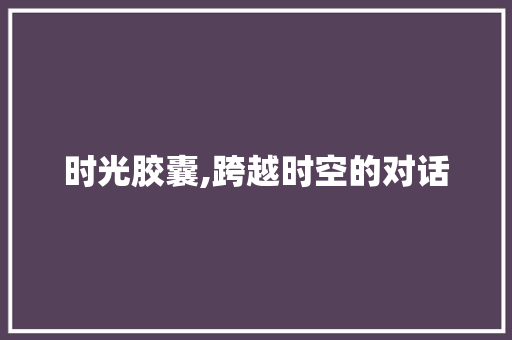 时光胶囊,跨越时空的对话