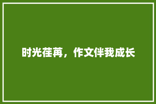 时光荏苒，作文伴我成长