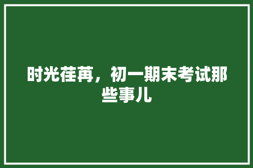 时光荏苒，初一期末考试那些事儿