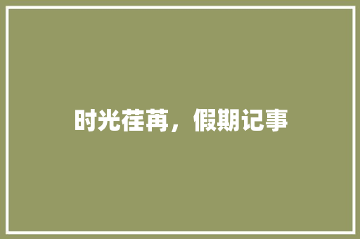 时光荏苒，假期记事