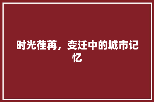 时光荏苒，变迁中的城市记忆