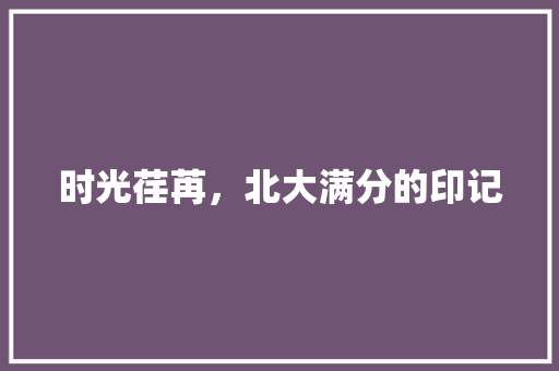 时光荏苒，北大满分的印记