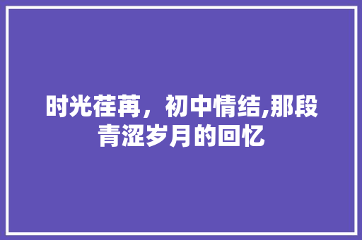 时光荏苒，初中情结,那段青涩岁月的回忆