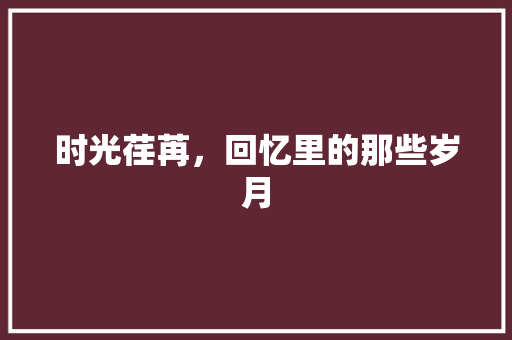 时光荏苒，回忆里的那些岁月