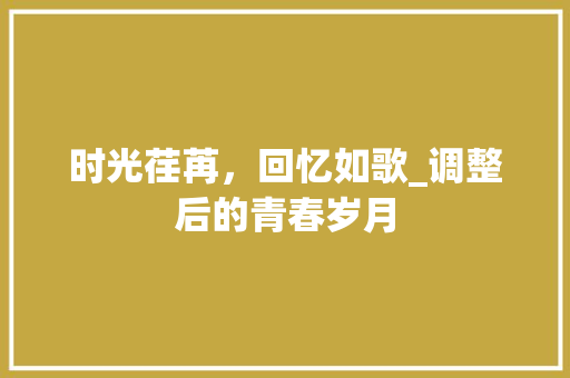 时光荏苒，回忆如歌_调整后的青春岁月