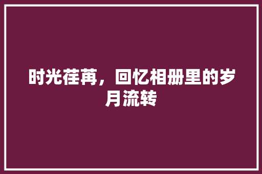 时光荏苒，回忆相册里的岁月流转