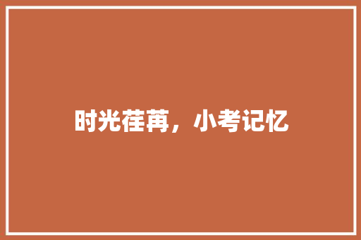 时光荏苒，小考记忆