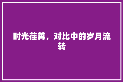 时光荏苒，对比中的岁月流转