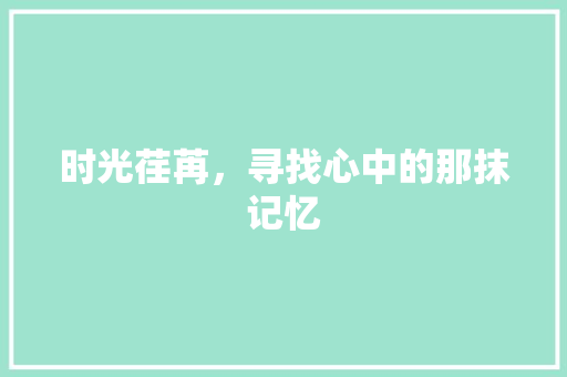 时光荏苒，寻找心中的那抹记忆