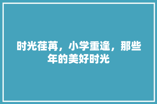 时光荏苒，小学重逢，那些年的美好时光