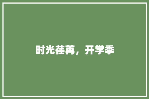 时光荏苒，开学季