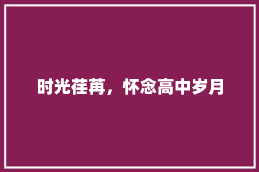 时光荏苒，怀念高中岁月