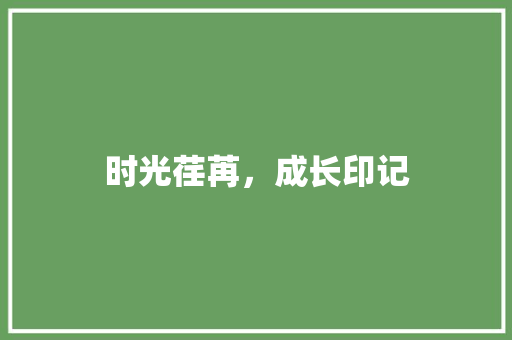 时光荏苒，成长印记