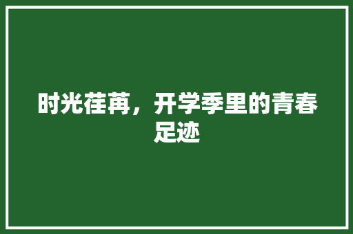 时光荏苒，开学季里的青春足迹