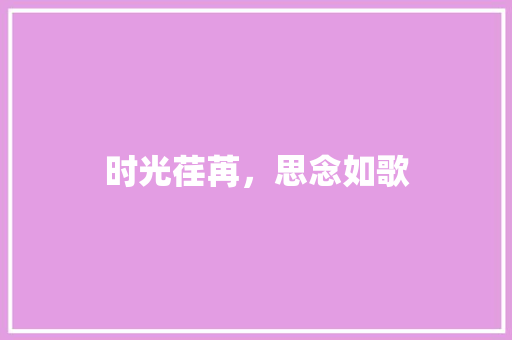 时光荏苒，思念如歌