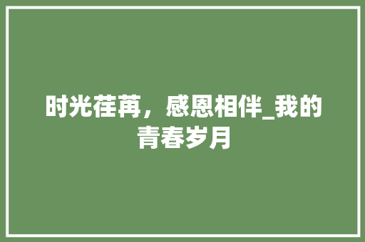 时光荏苒，感恩相伴_我的青春岁月 演讲稿范文