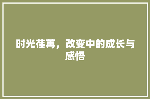 时光荏苒，改变中的成长与感悟