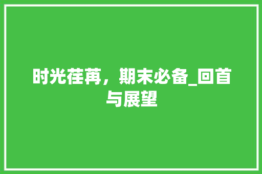 时光荏苒，期末必备_回首与展望