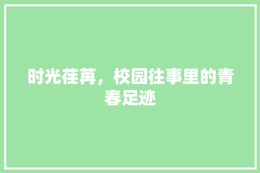 时光荏苒，校园往事里的青春足迹