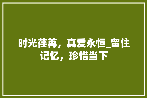 时光荏苒，真爱永恒_留住记忆，珍惜当下