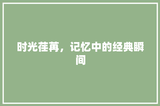 时光荏苒，记忆中的经典瞬间 申请书范文