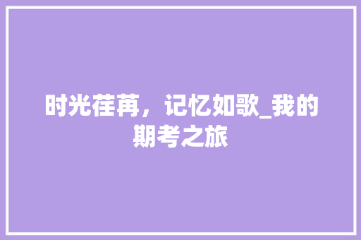 时光荏苒，记忆如歌_我的期考之旅 学术范文