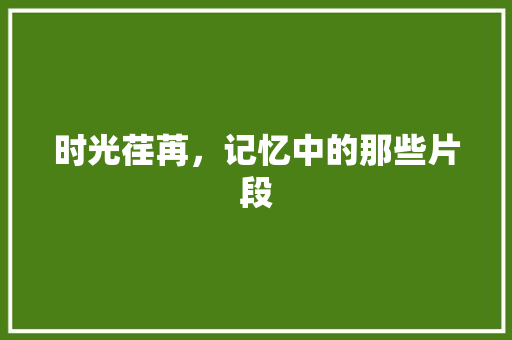 时光荏苒，记忆中的那些片段