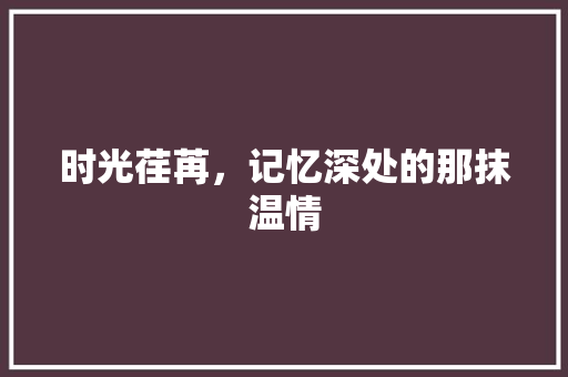 时光荏苒，记忆深处的那抹温情