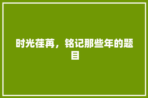 时光荏苒，铭记那些年的题目