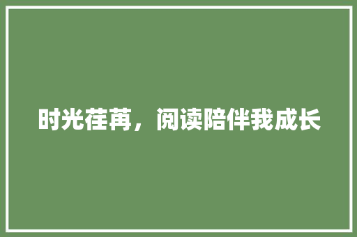 时光荏苒，阅读陪伴我成长