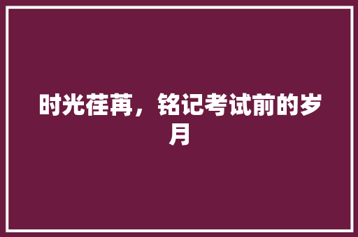 时光荏苒，铭记考试前的岁月