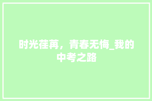 时光荏苒，青春无悔_我的中考之路