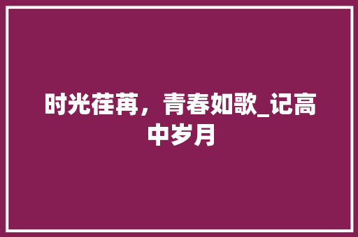 时光荏苒，青春如歌_记高中岁月