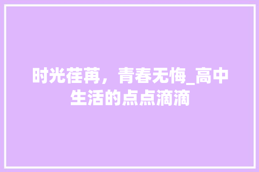 时光荏苒，青春无悔_高中生活的点点滴滴