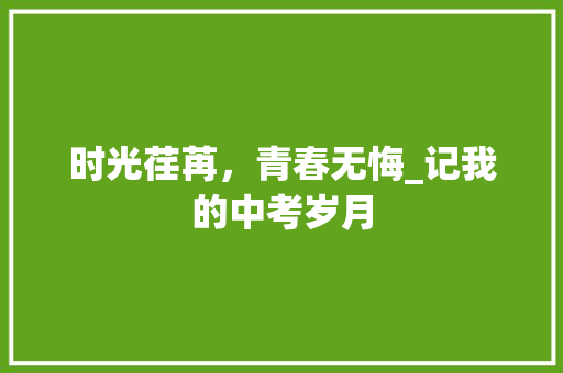 时光荏苒，青春无悔_记我的中考岁月