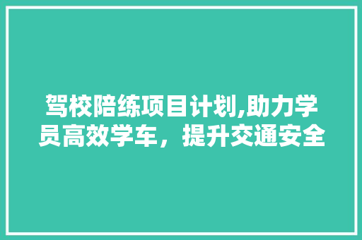 驾校陪练项目计划,助力学员高效学车，提升交通安全意识