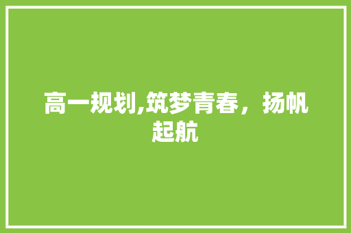 高一规划,筑梦青春，扬帆起航