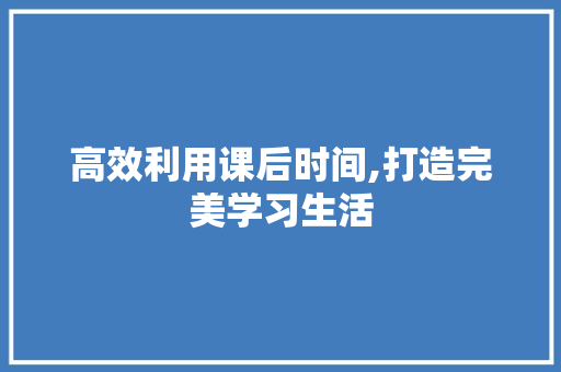 高效利用课后时间,打造完美学习生活