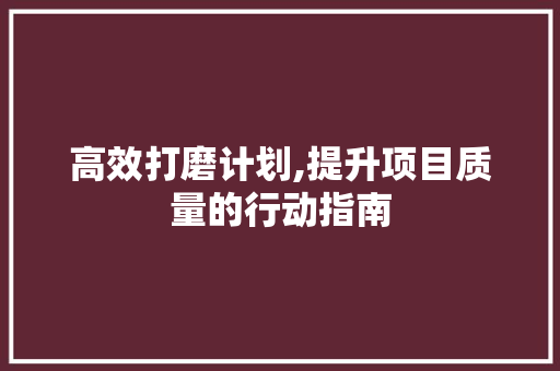 高效打磨计划,提升项目质量的行动指南