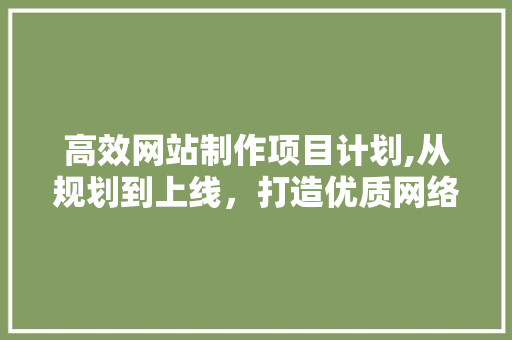 高效网站制作项目计划,从规划到上线，打造优质网络平台