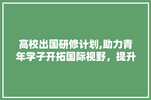 高校出国研修计划,助力青年学子开拓国际视野，提升综合素质